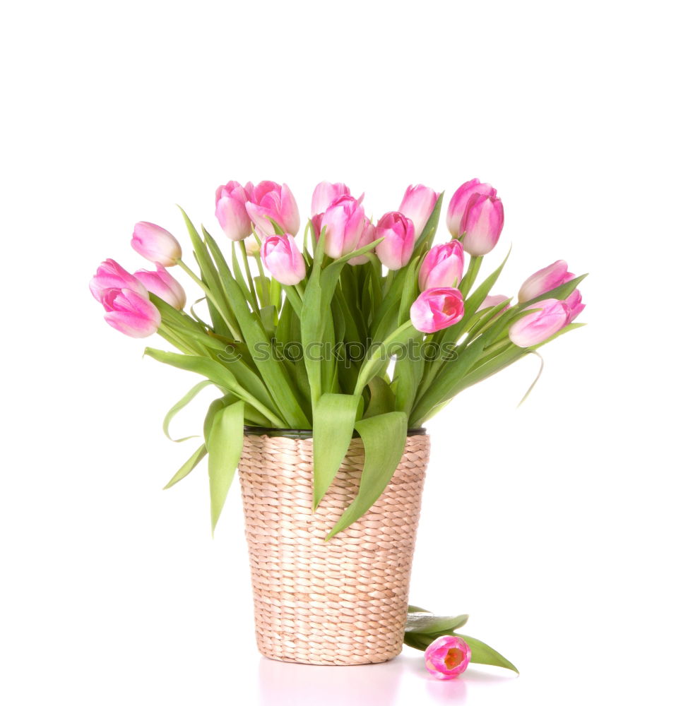 Similar – Image, Stock Photo A measure of flowers