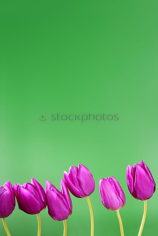 Similar – Foto Bild Roter Fleck XXL Natur