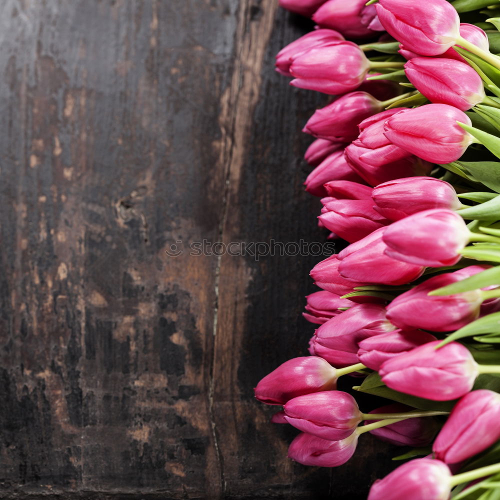 Similar – Image, Stock Photo Autumn flowers on dark wooden table