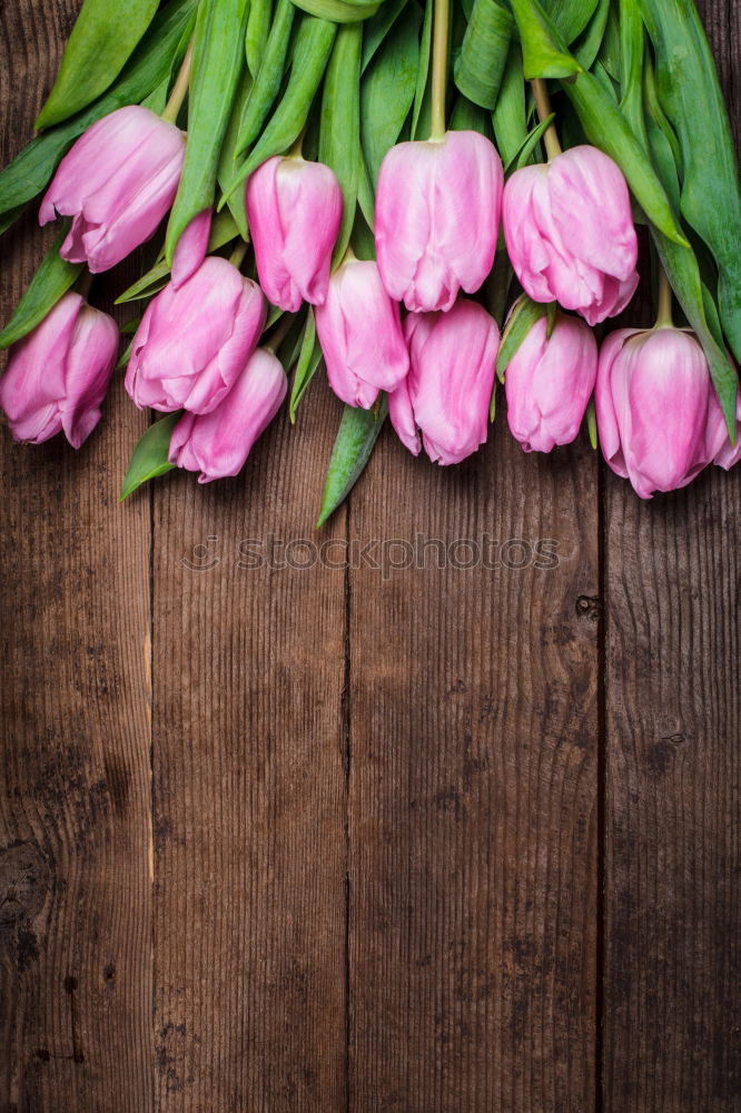 Similar – Image, Stock Photo bouquet of irises and a cup of coffee