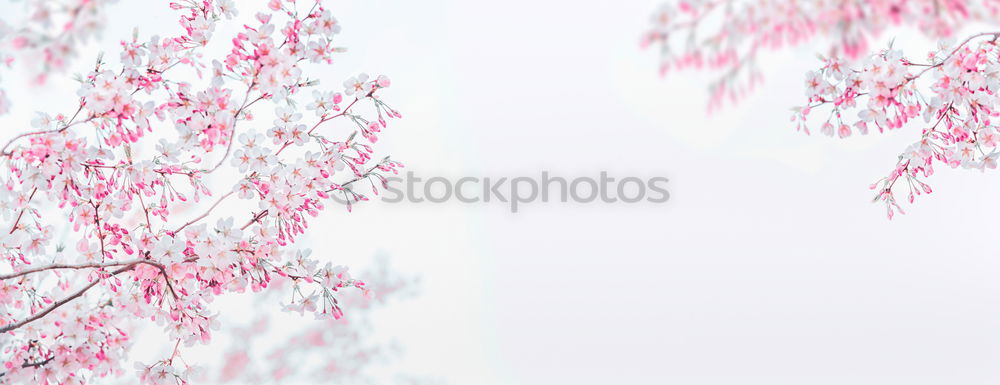 Similar – Image, Stock Photo wall shape Environment