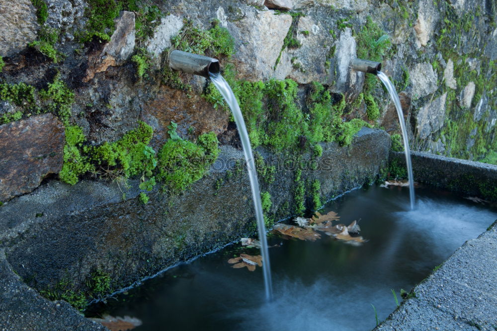 Similar – Image, Stock Photo tender as a winter Wet