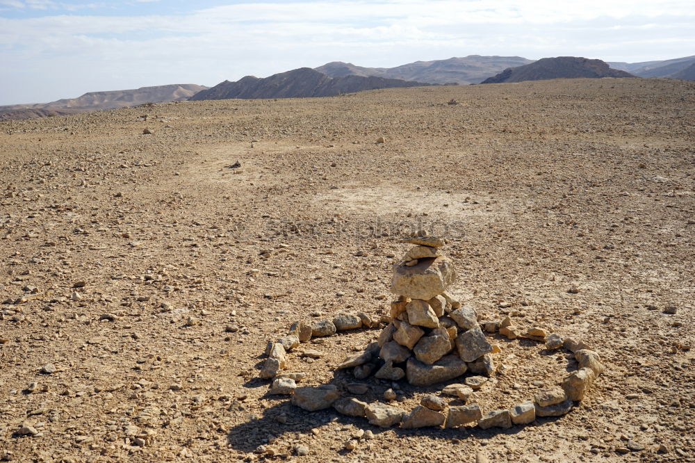 Image, Stock Photo in the empty desert of persia lamp oil on branch