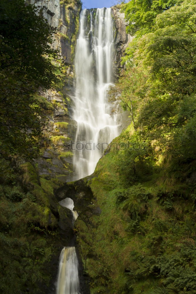 Similar – The Water Falling at the Yoro Waterfall in Gifu, Japan