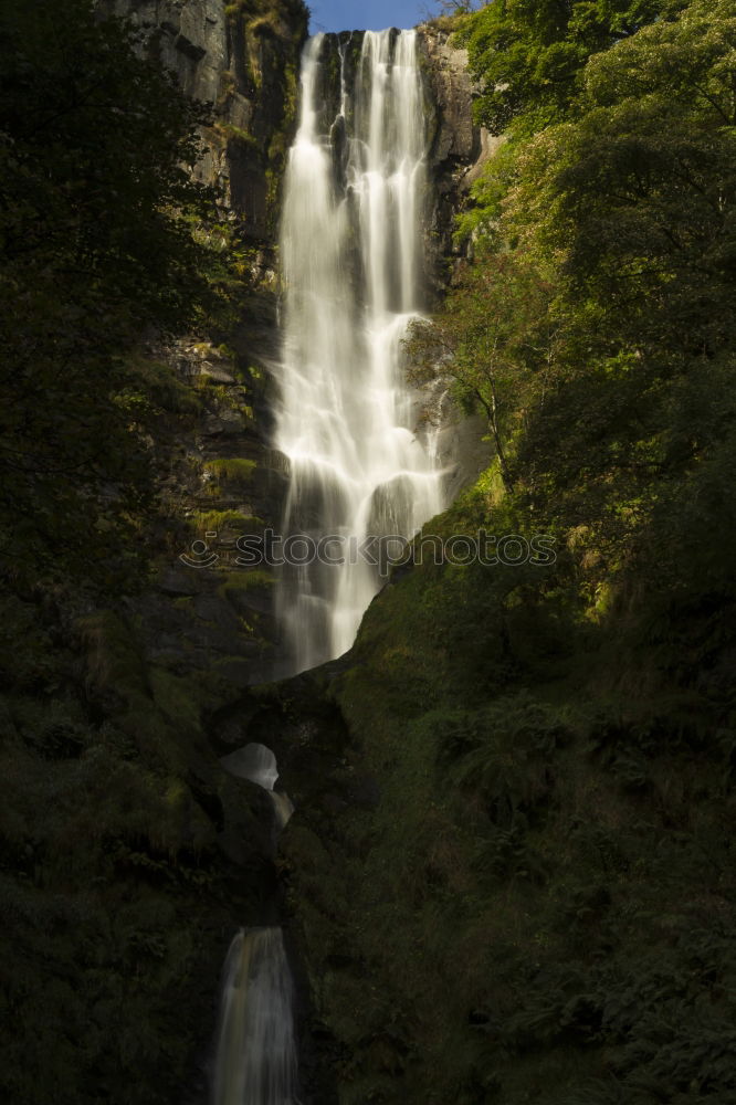 Similar – Image, Stock Photo chilling Nature Water