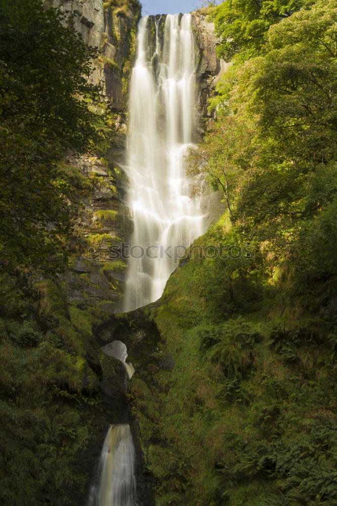 Similar – The Water Falling at the Yoro Waterfall in Gifu, Japan