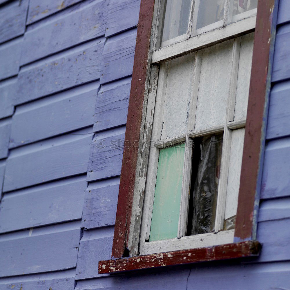 Similar – Image, Stock Photo freshly painted Istanbul