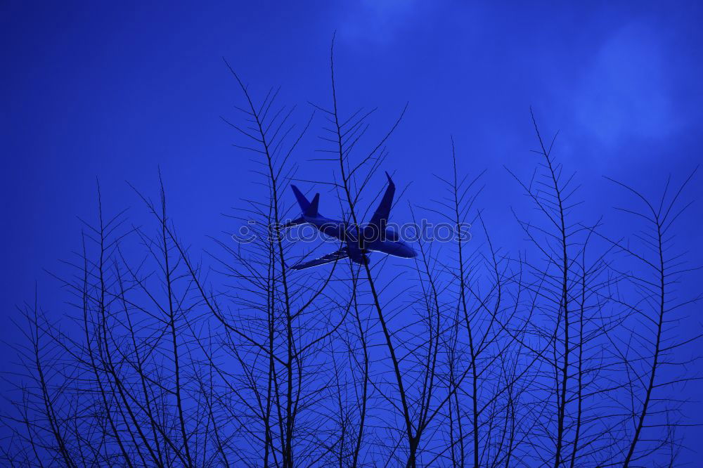 Similar – Kleines Flugzeug am Himmel die 100ste…