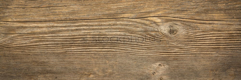 Similar – Image, Stock Photo barbed wire Formentera