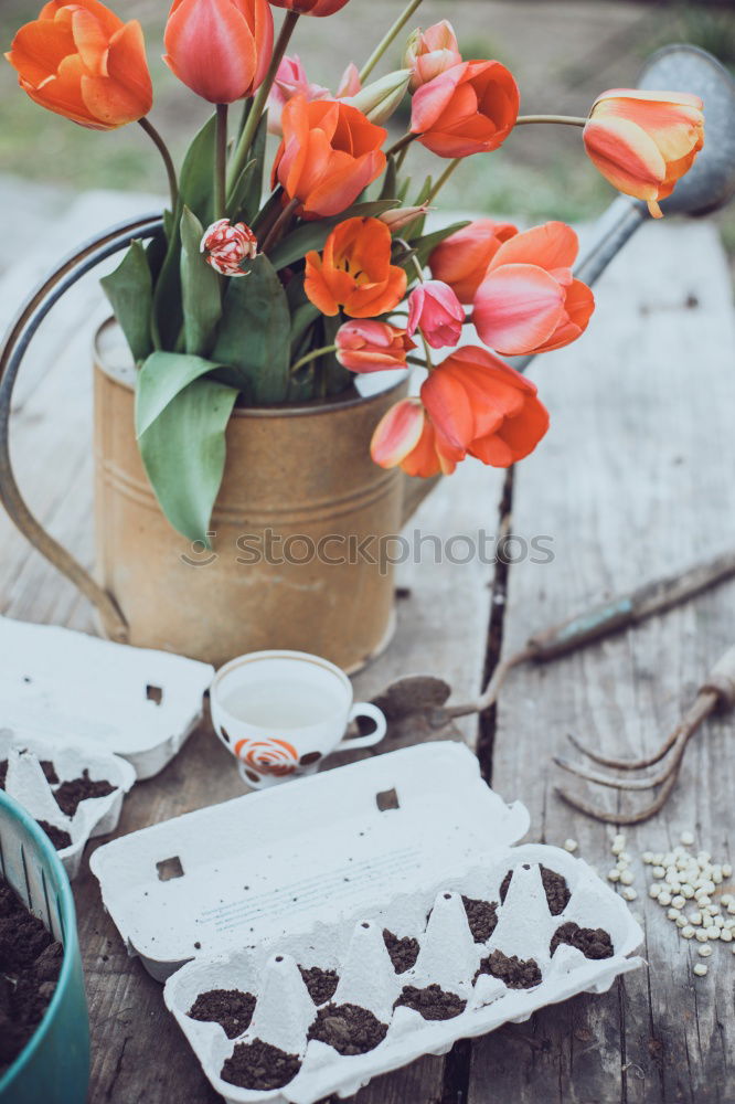 Similar – Crop hands holding flowers near honey and tea