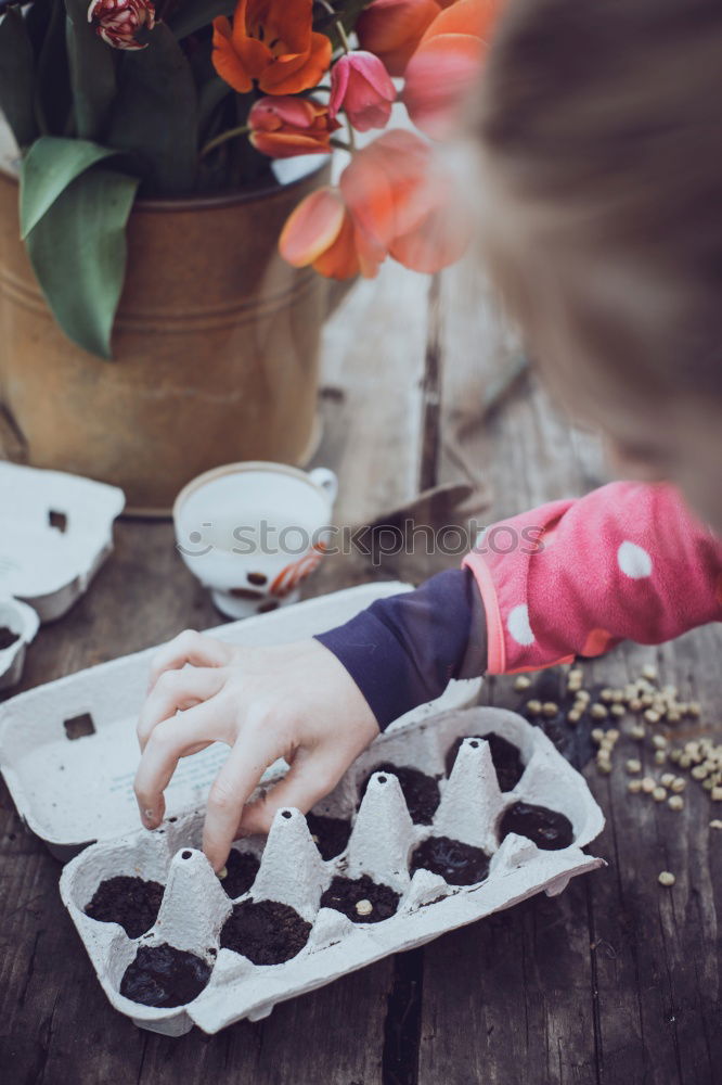 Similar – Hands of woodcarver make ??wooden bowl