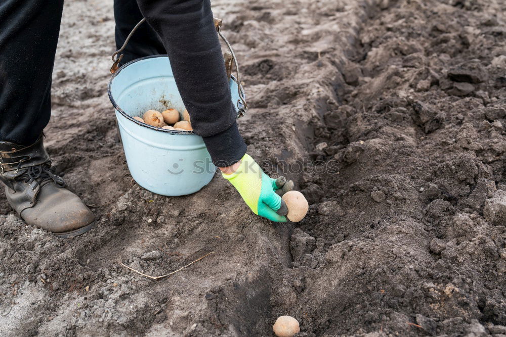 Similar – Legs in red trousers and green rubber boots jumping in a muddy puddle, so that the mud flies up