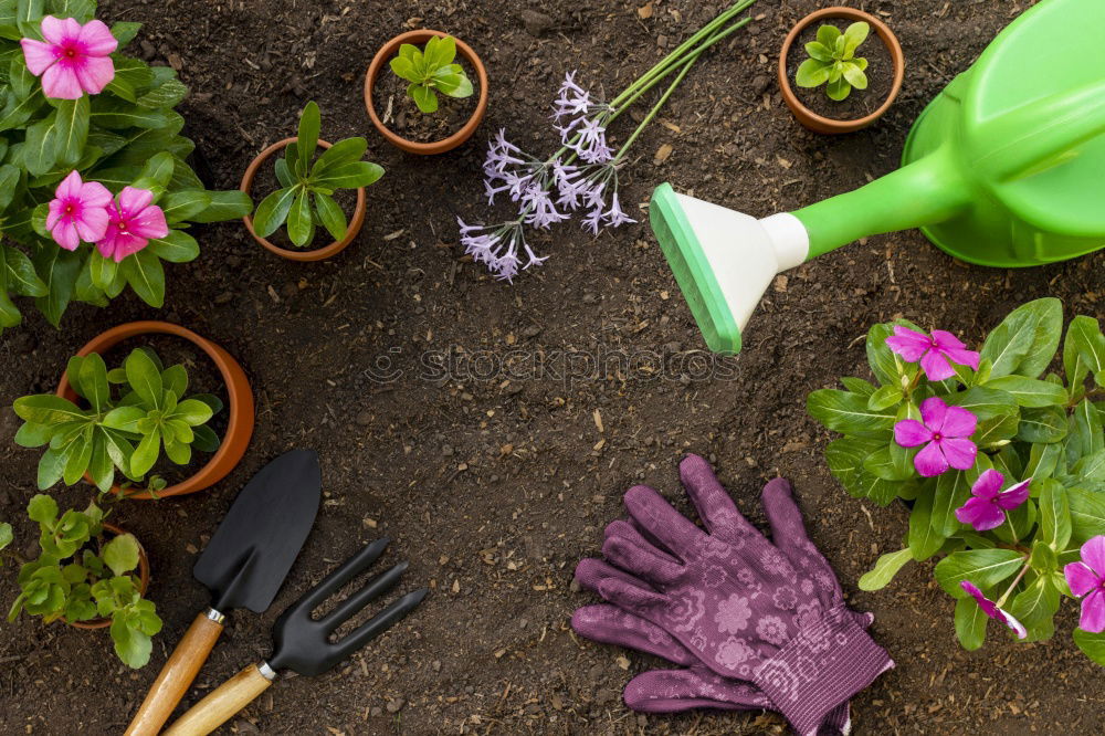 Similar – View into the garden bio bin…