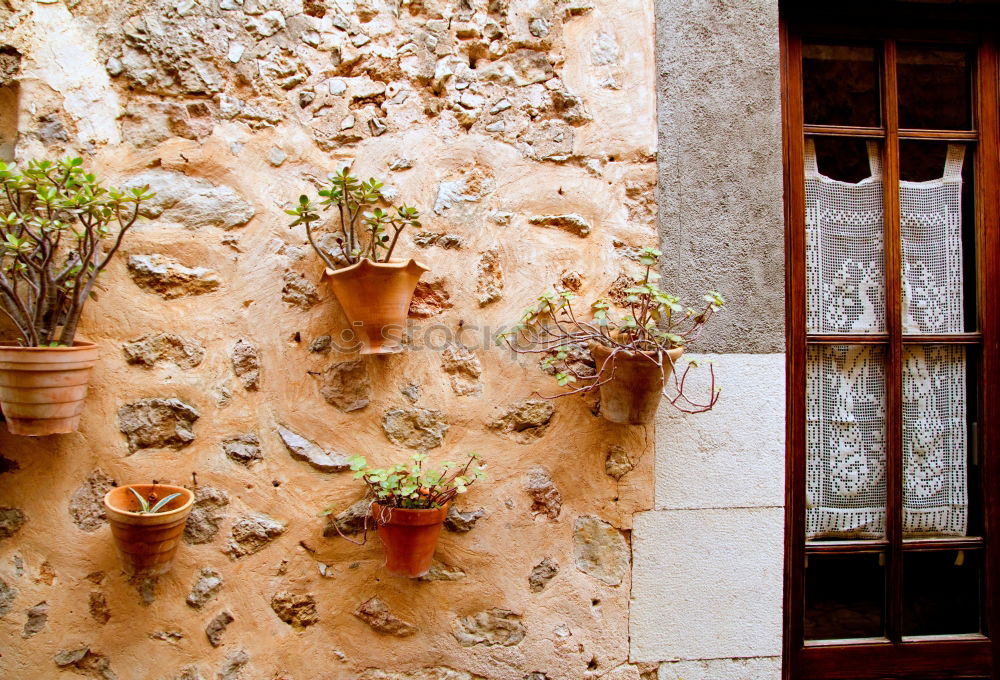 Image, Stock Photo Flower pots on the wall