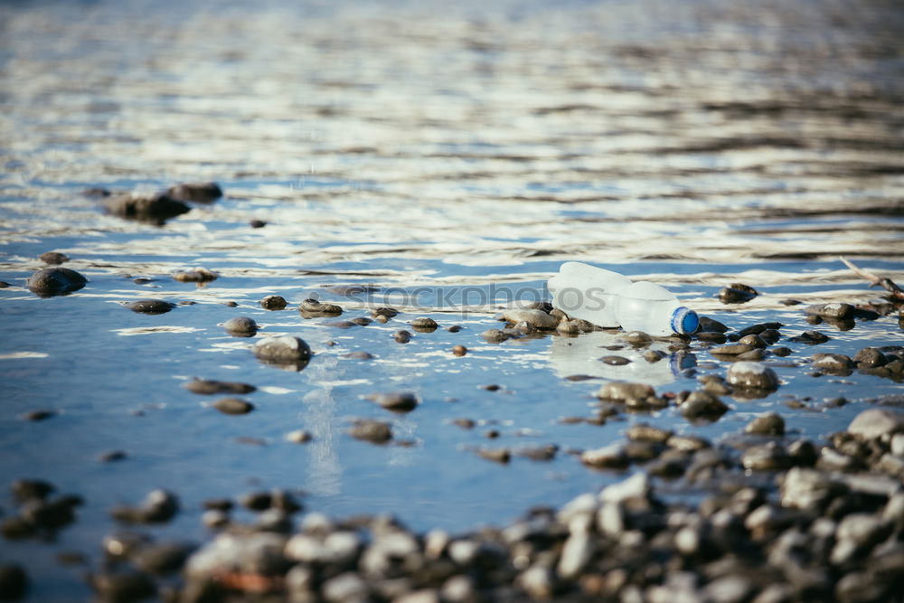 Similar – Foto Bild muscheln kurz vor rømø