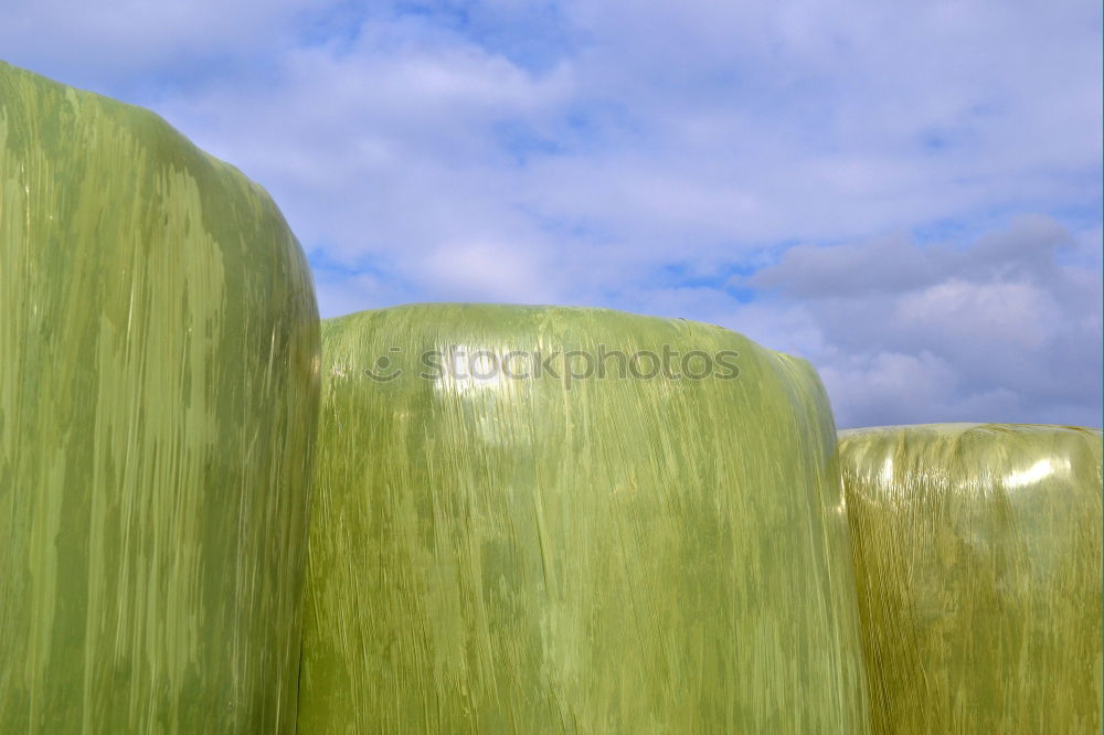 Foto Bild Siesta Gartenzaun Zaun