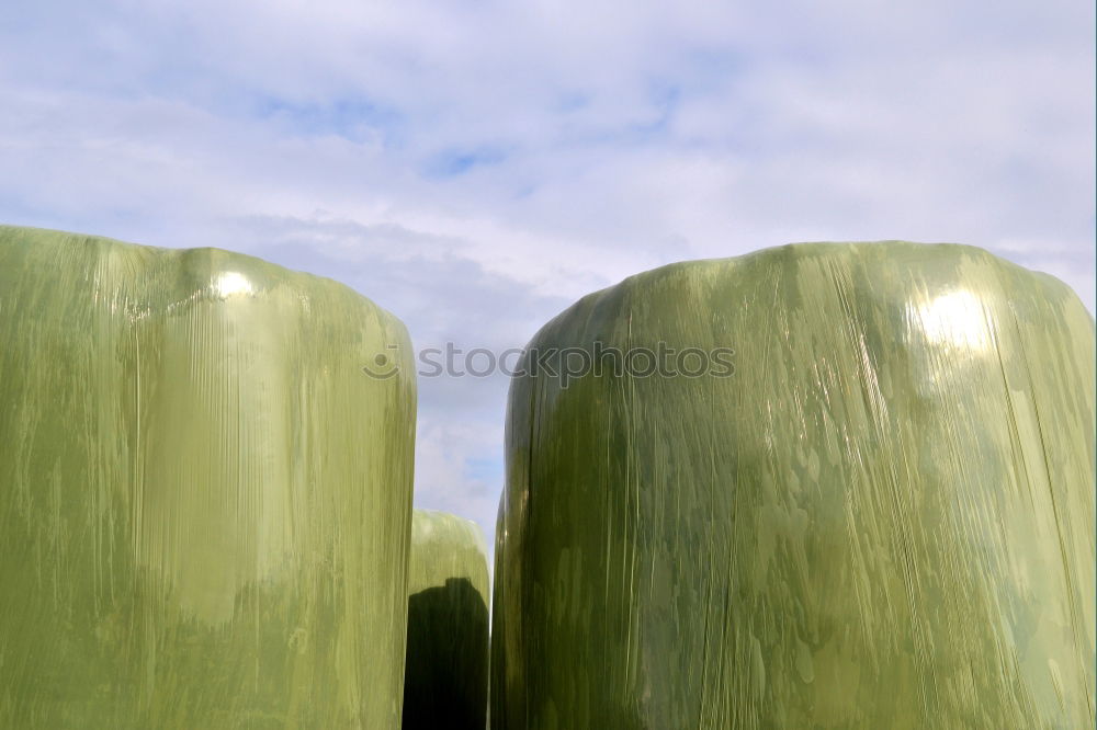 Similar – Image, Stock Photo peephole Nature