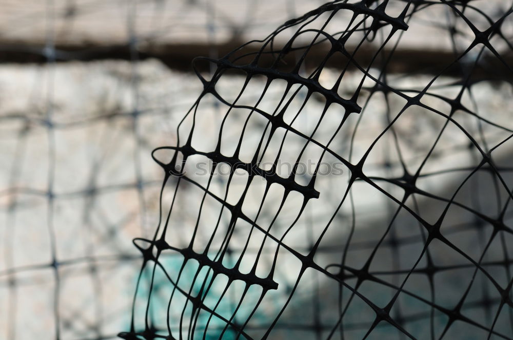 Similar – Image, Stock Photo walk detail Fence