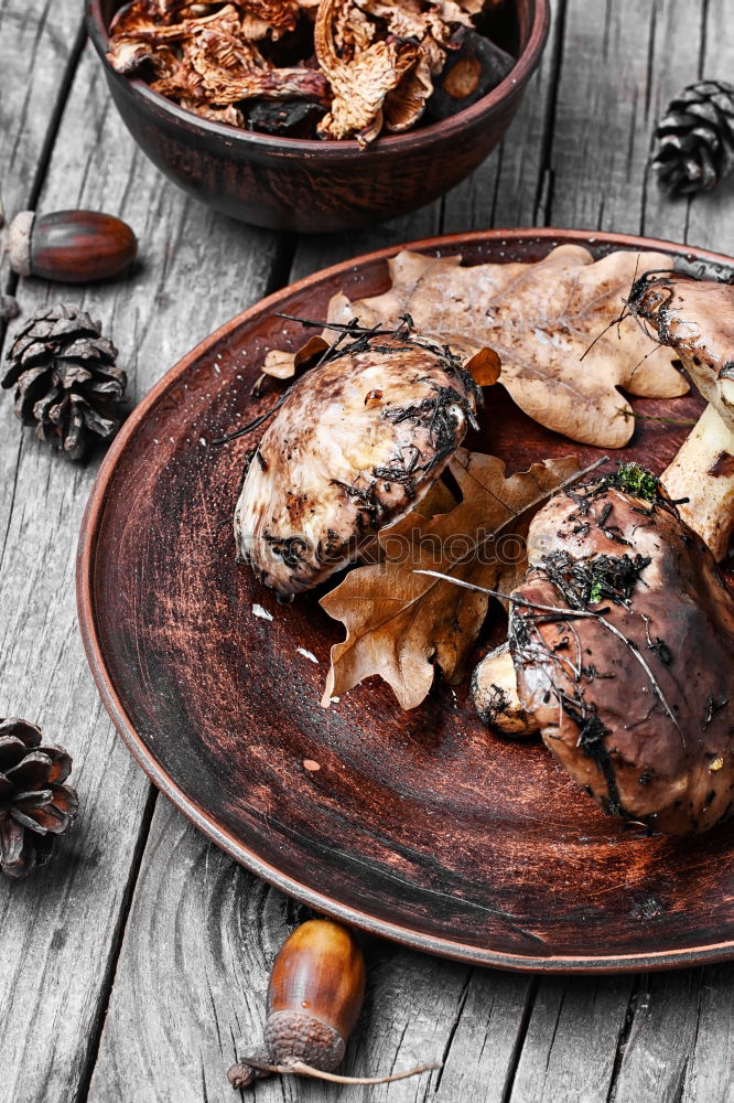 Similar – Image, Stock Photo Fried chestnuts in bowl on the kitchen table