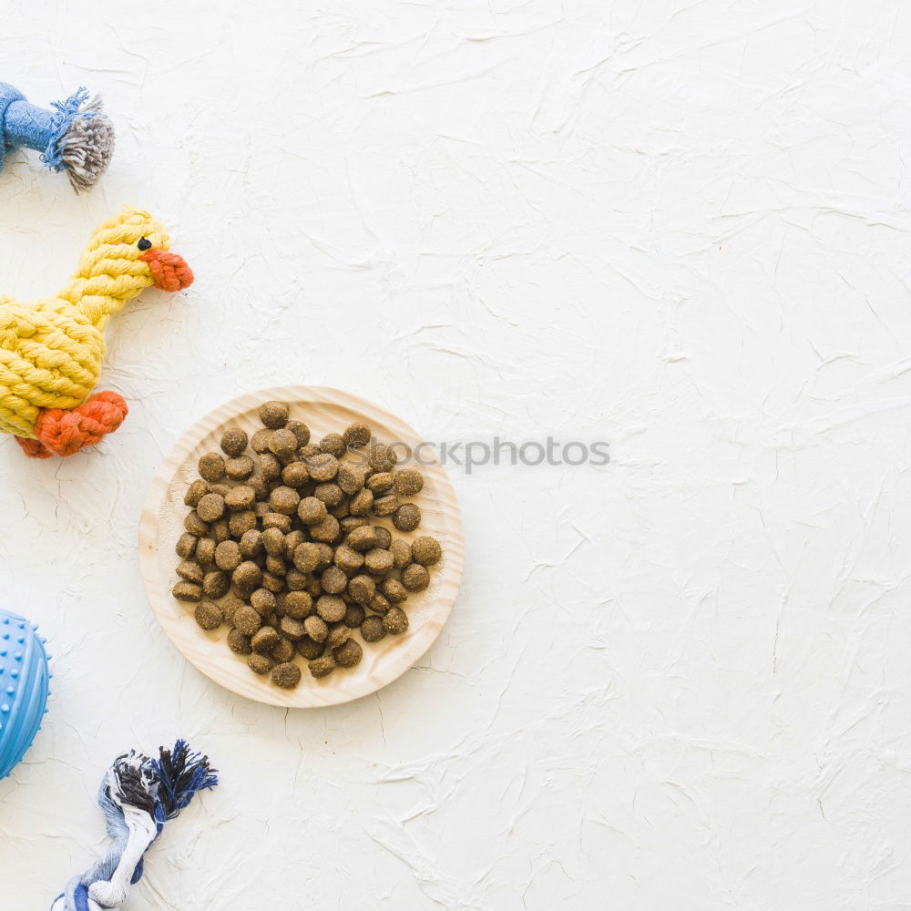 Similar – Image, Stock Photo collecting frenzy II