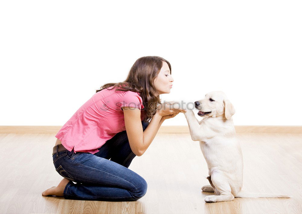 Similar – Image, Stock Photo Young woman feeding Beagle at a table in the kitchen in front of turquoise wall at the table