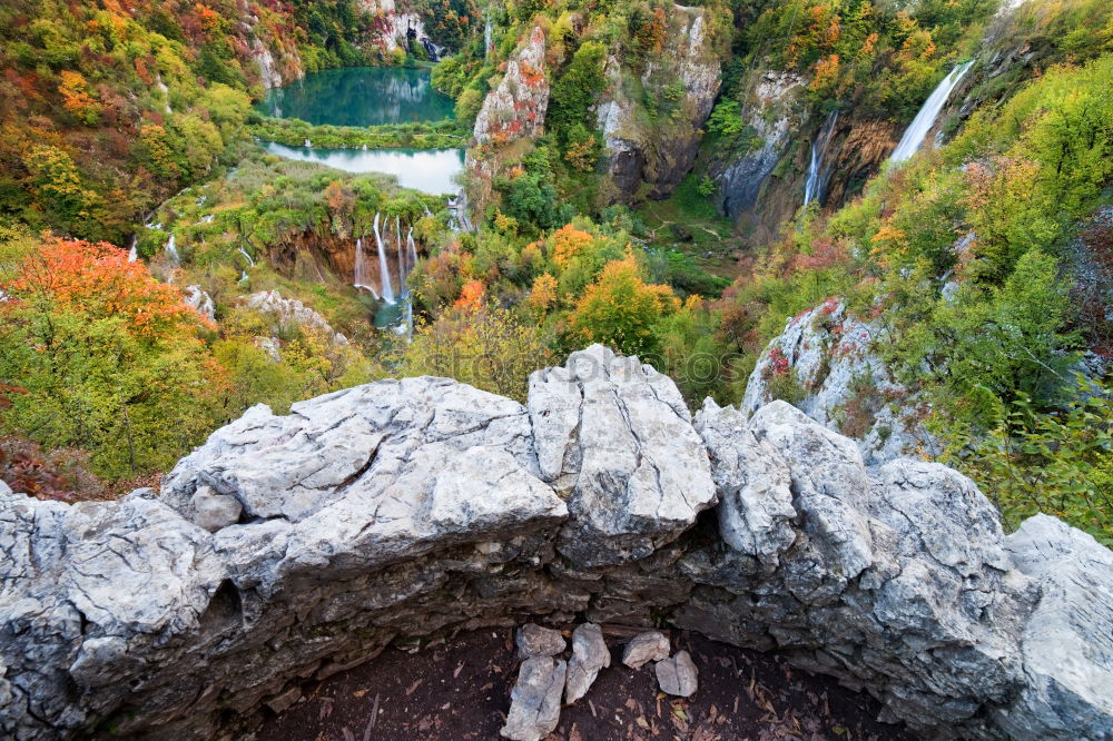 Foto Bild Goldrausch Herbst Sachsen