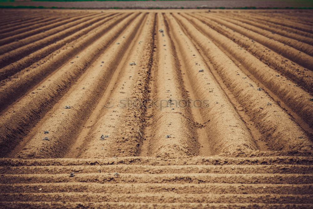 Similar – tractor Tractor