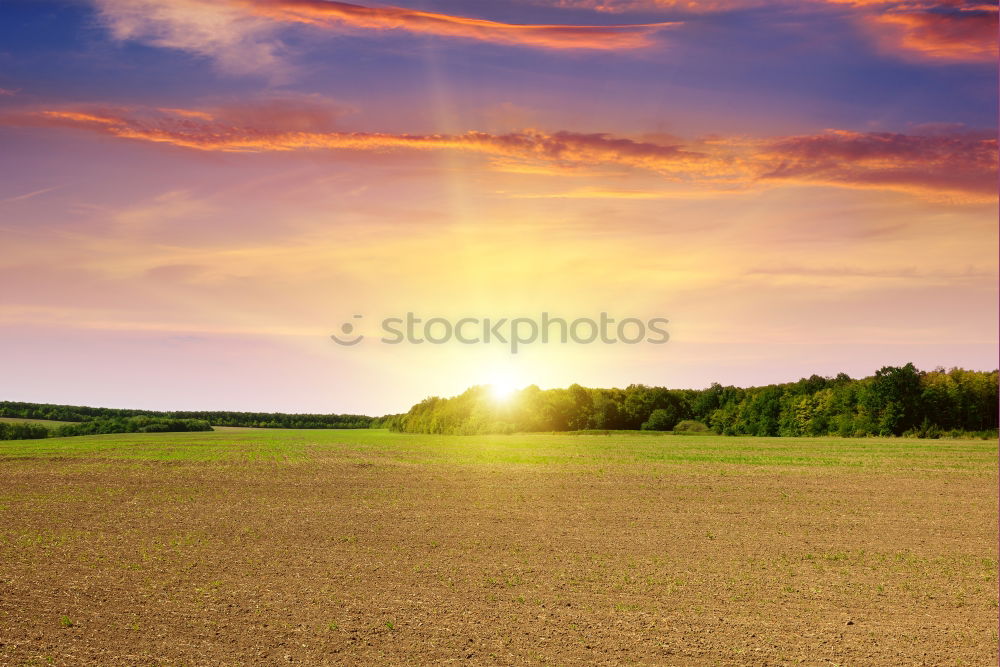 Similar – Straw bales in the sunrise