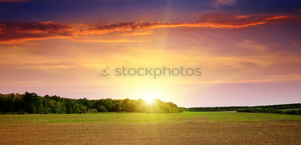 Similar – Image, Stock Photo I see the world in ruins.