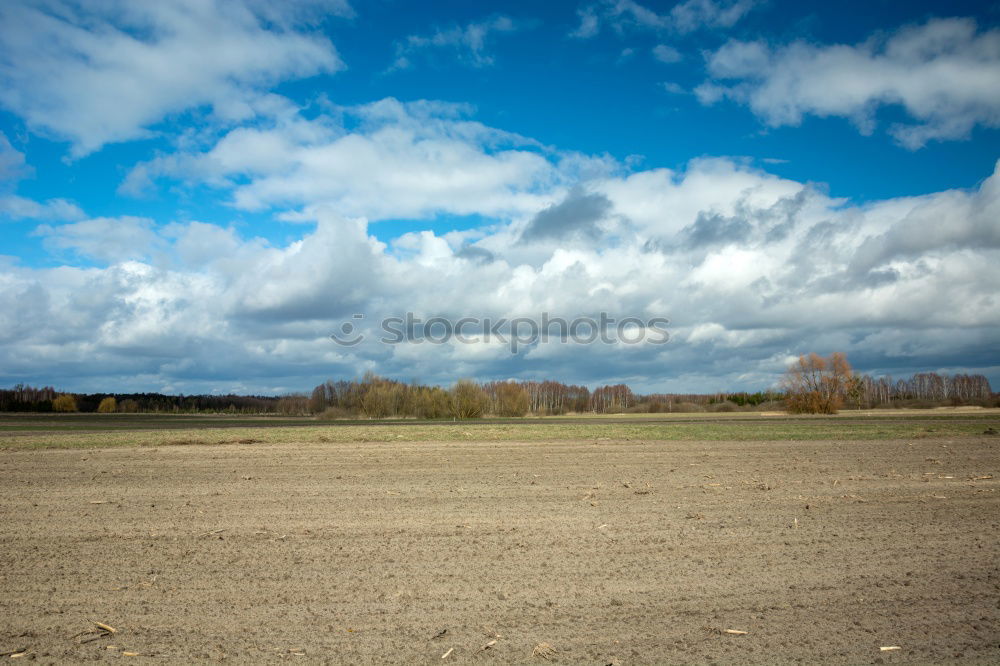 Similar – Image, Stock Photo as the winter went on.