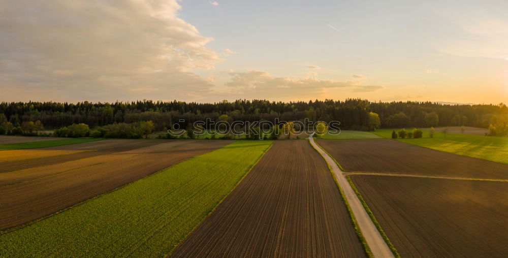 Similar – Image, Stock Photo Rapsfeld in the evening sun