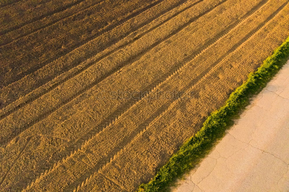 Similar – cyclist Bird’s-eye view