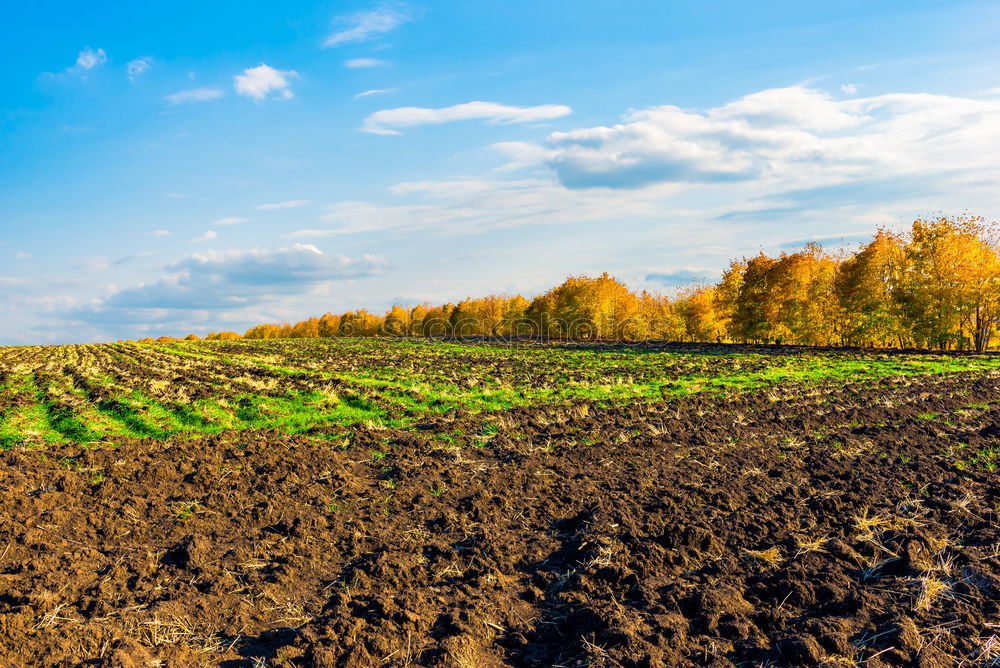 Similar – Image, Stock Photo harvest time Harmonious