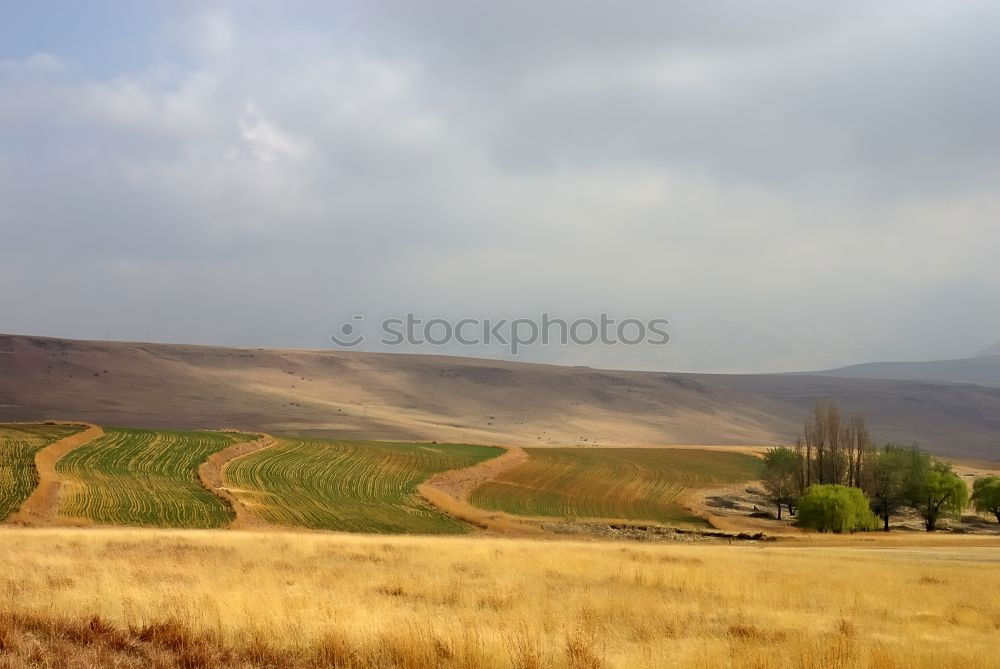 Similar – Image, Stock Photo West bank Trip Environment