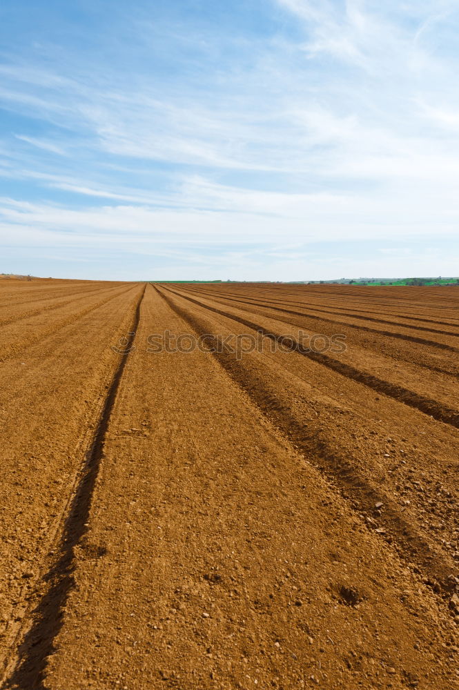 Similar – Image, Stock Photo Tractor 2 Field Farmer