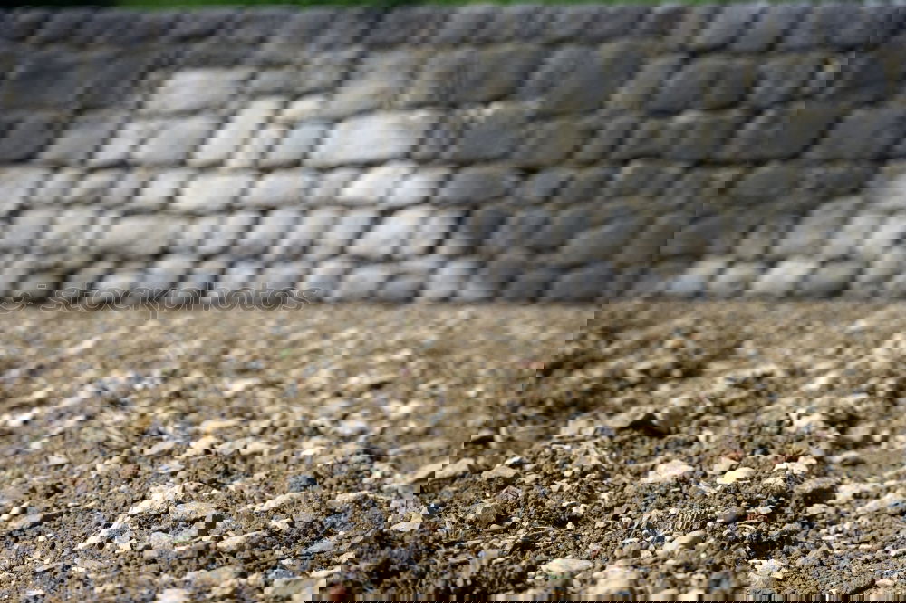 Image, Stock Photo Unmultiplied level Stone