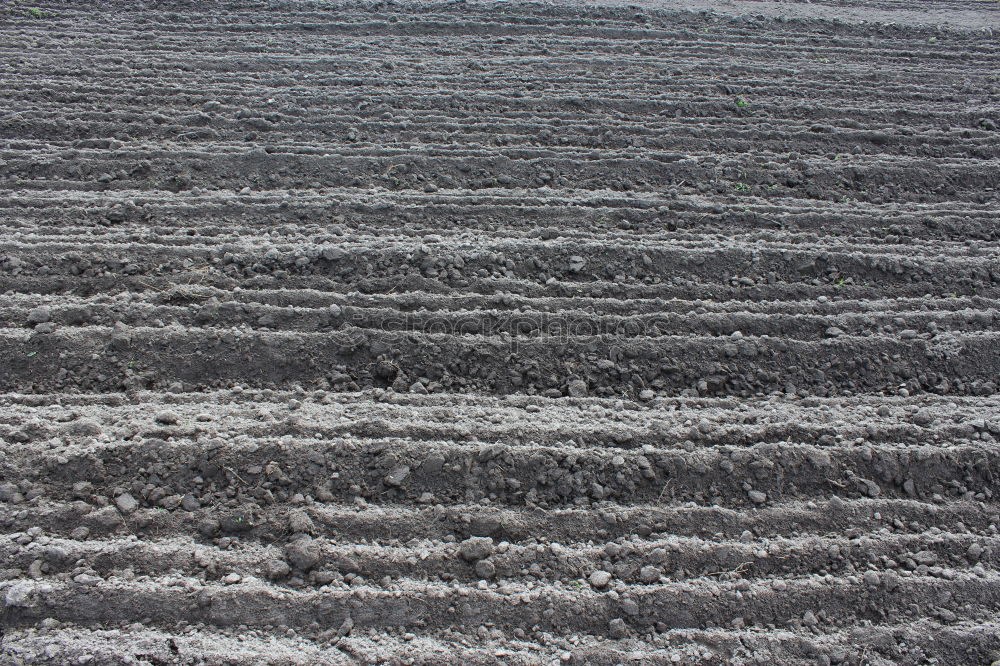 Similar – Image, Stock Photo Uckermark Environment