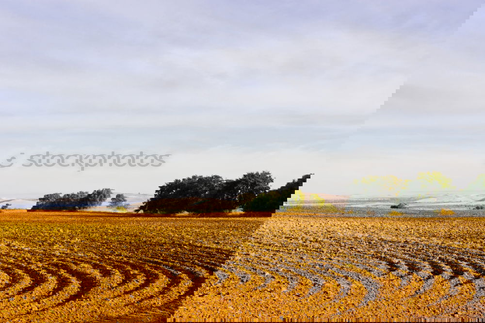 Similar – Image, Stock Photo harvest time