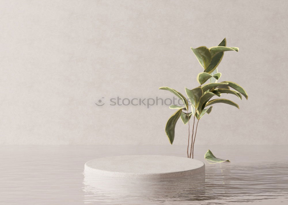 Similar – Image, Stock Photo lilies Plant Flower Leaf