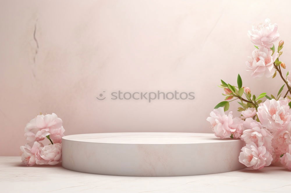 Similar – Image, Stock Photo Summer Feeling