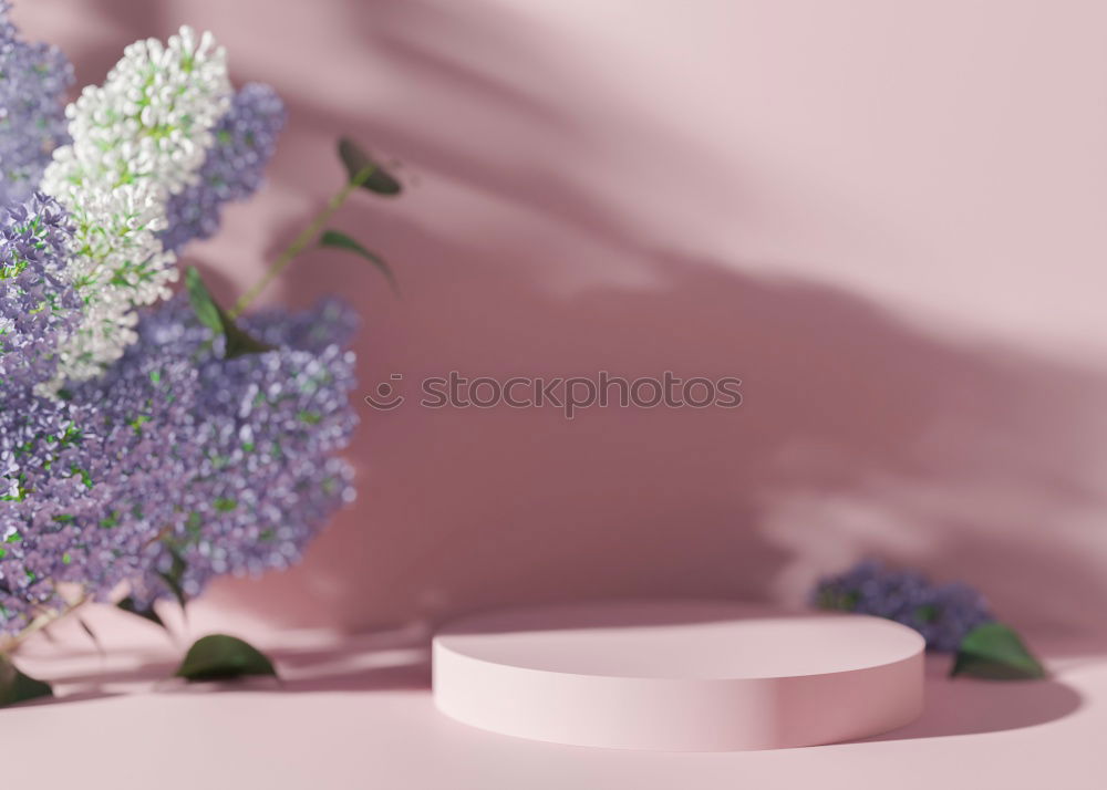 Similar – Image, Stock Photo Confit with flowers and bread