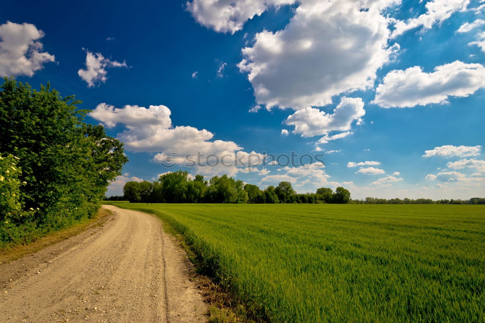 Similar – Sun at the end of a lonely street with a tree