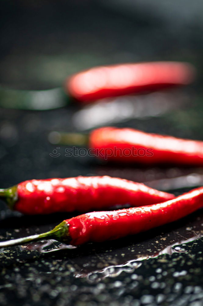 Similar – Rosemary, chopped chili and salt, wood background