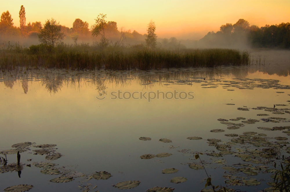 Similar – morning mood Lake Morning