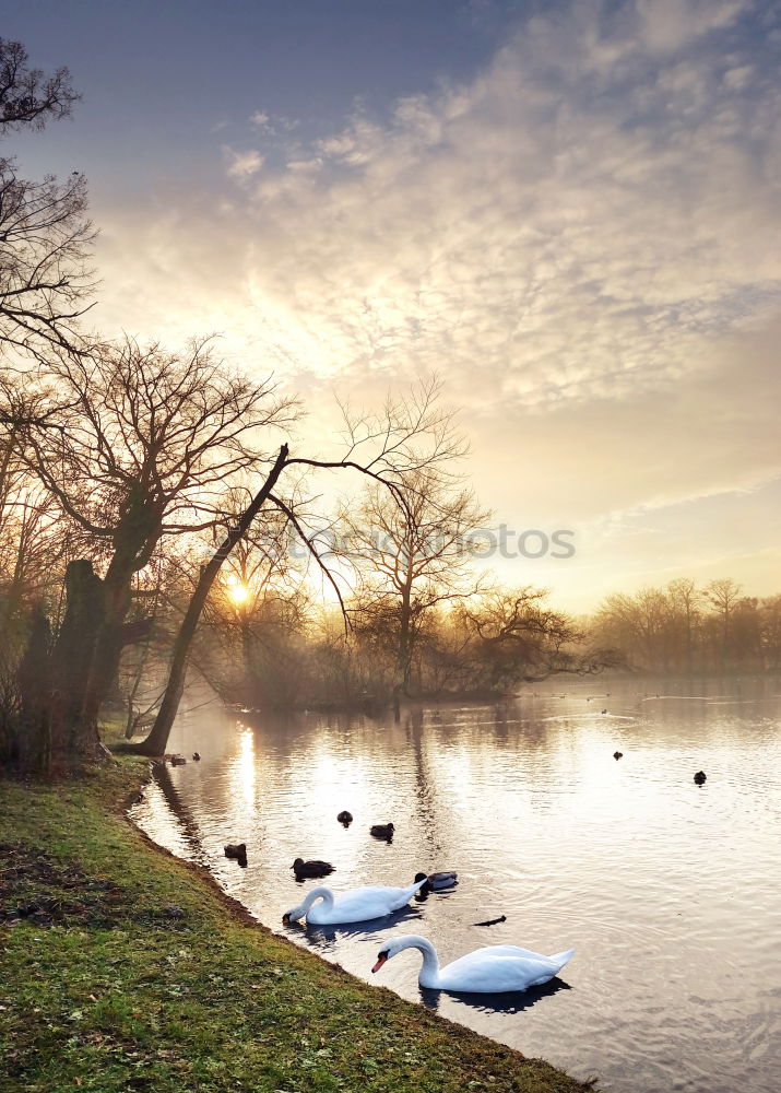 Similar – Image, Stock Photo no flying Environment