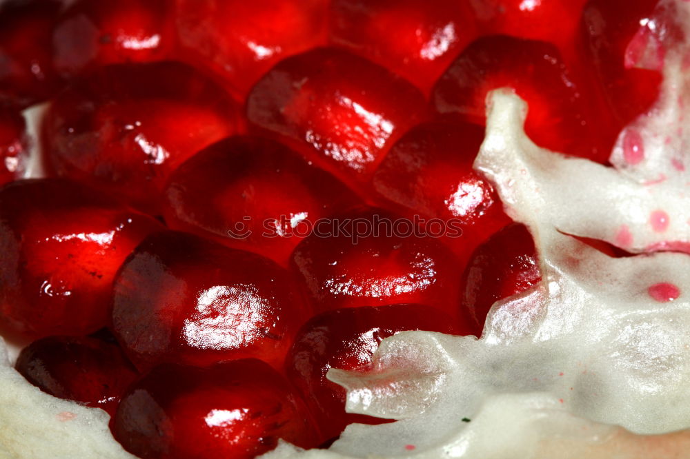 Similar – Glass bowl with red currants and vanilla sauce