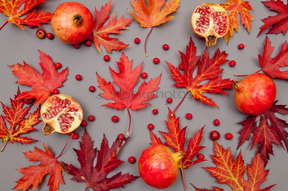 Similar – Red autumn leaves Still life