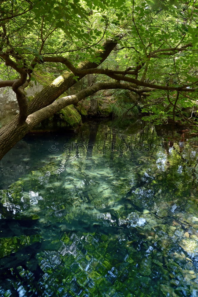 Similar – water gate Nature