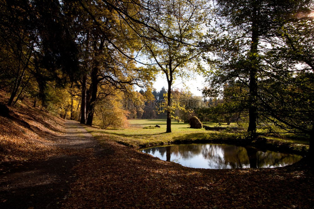 Similar – autumn ponds Calm Trip Sun