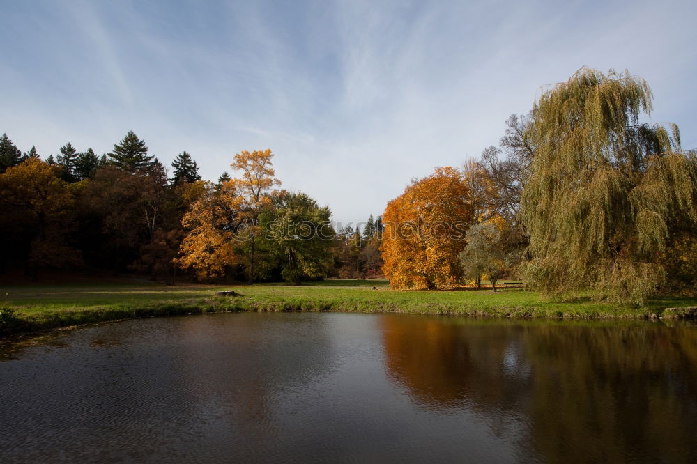 Similar – Image, Stock Photo autumn mood Nature